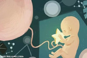 关于木棉医疗中心